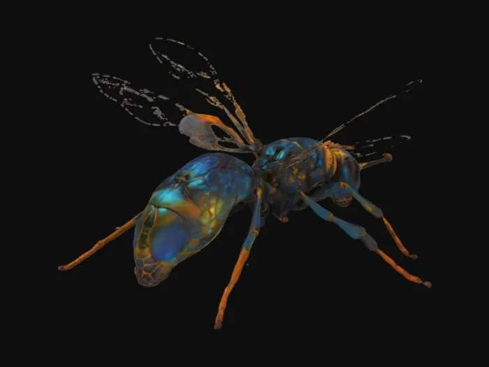 3D model for Cyber Wasp