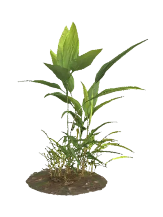 Solitude Plant - Stem 3D model, vytvořený pomocí AI