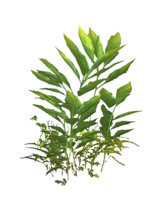 Solitude Plant - Stem 3D model, vytvořený pomocí AI