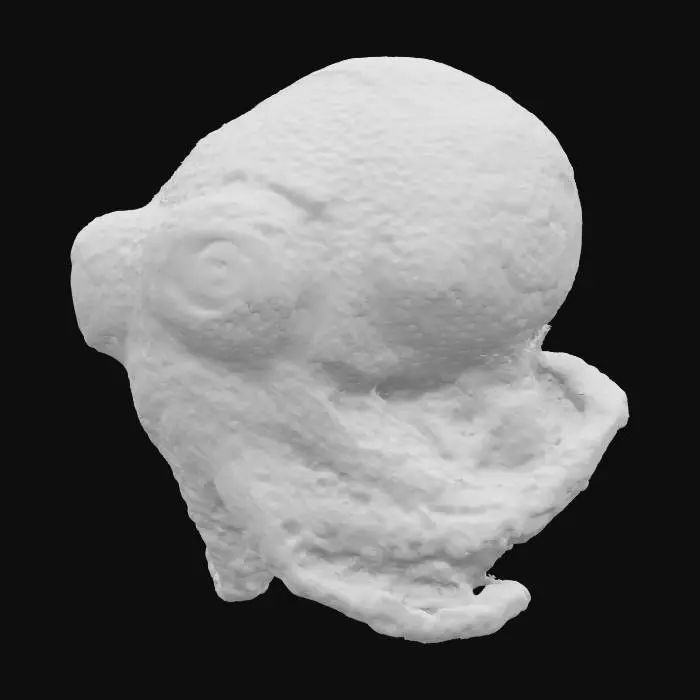3D model for Derpy Cuttlefish