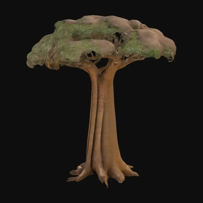 3D model for a baoboo
