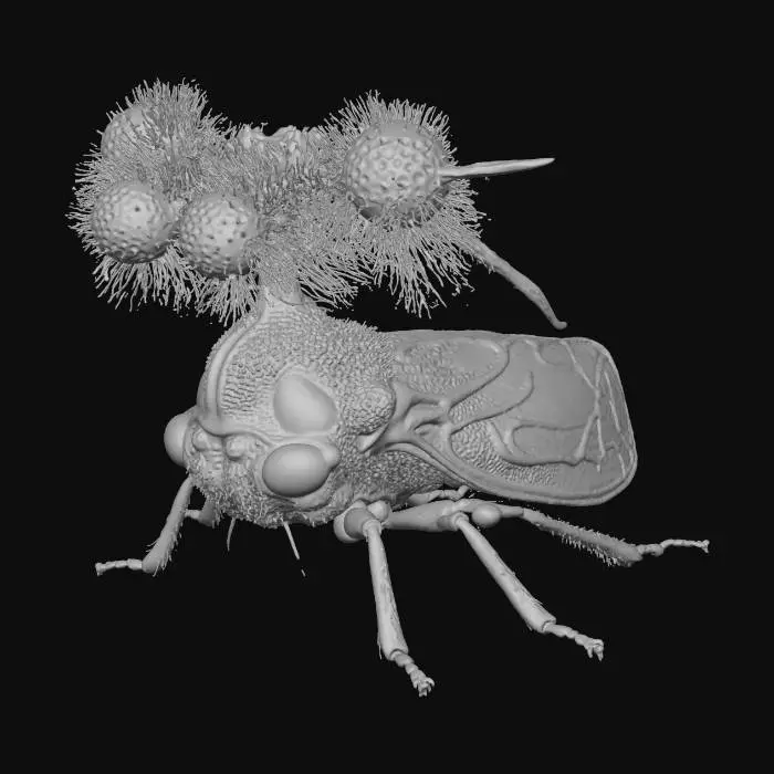 3D model for Treehopper Extravaganza