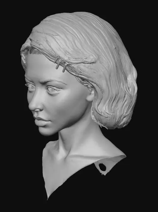 3D model for Portrait with Hair Clips
