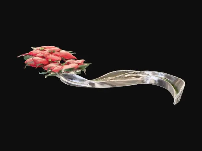 3D model for Poinsettia Elegance