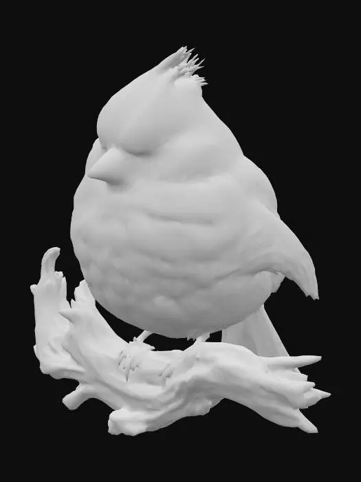 3D model for Crimson Puff Perch