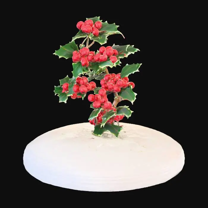 3D model for Holly on Snowy Base