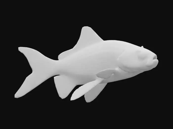 3D model for Goldfish