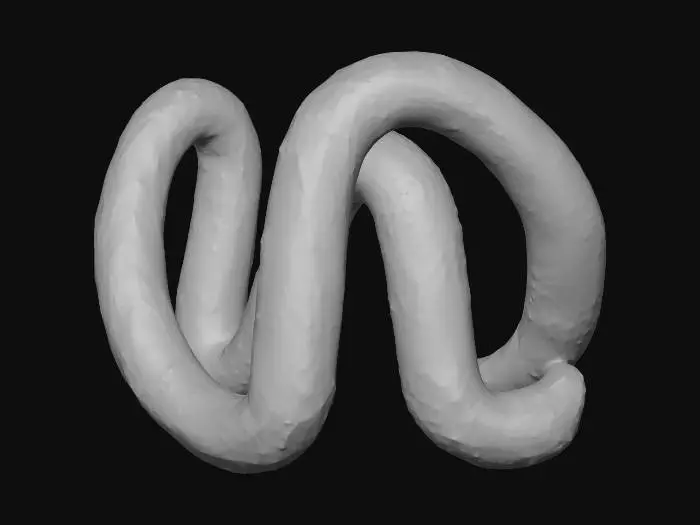 3D model for NCS logo