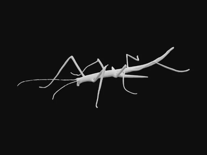 3D model for Stick Bug Discovery