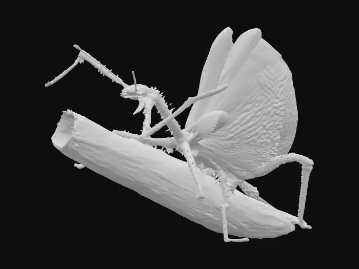 3D model for Colorful Insect Display