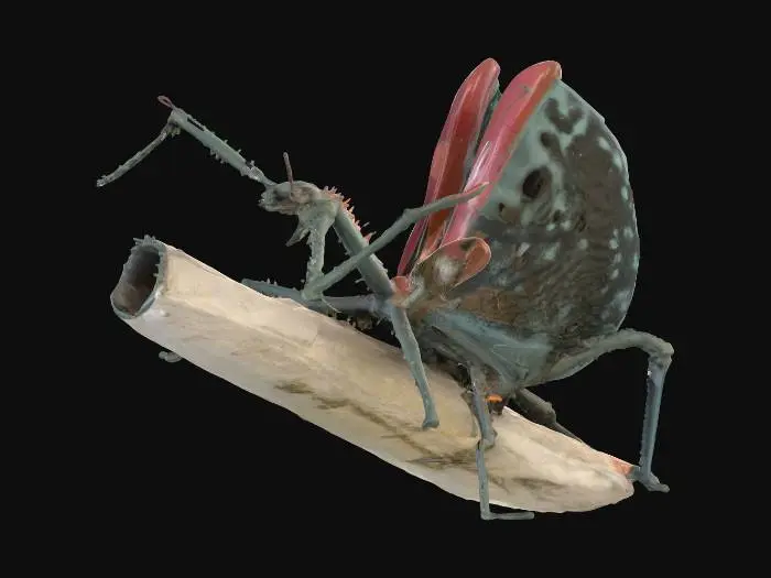 3D model for Colorful Insect Display