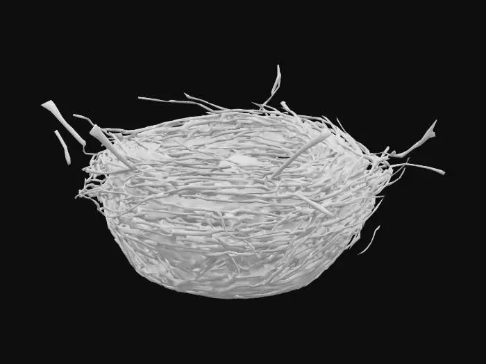 3D model for Realistic bird nest made of intertwined twigs, dry grass, and small branches, resting on a tree branch or forest floor. The nest contains three or four smooth speckled eggs. No bird present. Natural lighting, photorealistic textures, shallow depth of field, detailed materials like dry wood and organic fibers.