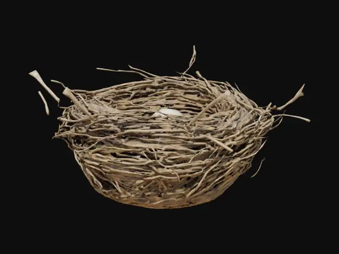 3D model for Realistic bird nest made of intertwined twigs, dry grass, and small branches, resting on a tree branch or forest floor. The nest contains three or four smooth speckled eggs. No bird present. Natural lighting, photorealistic textures, shallow depth of field, detailed materials like dry wood and organic fibers.