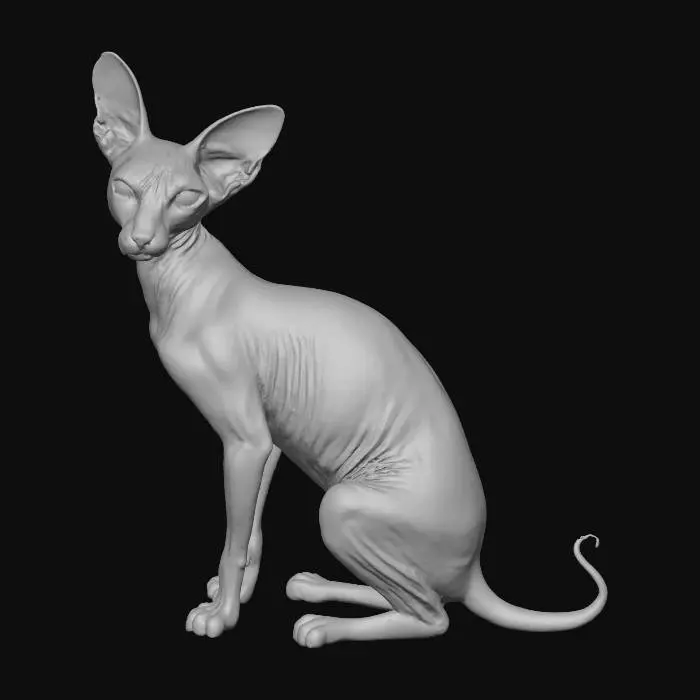 3D model for low poly cat sphynx