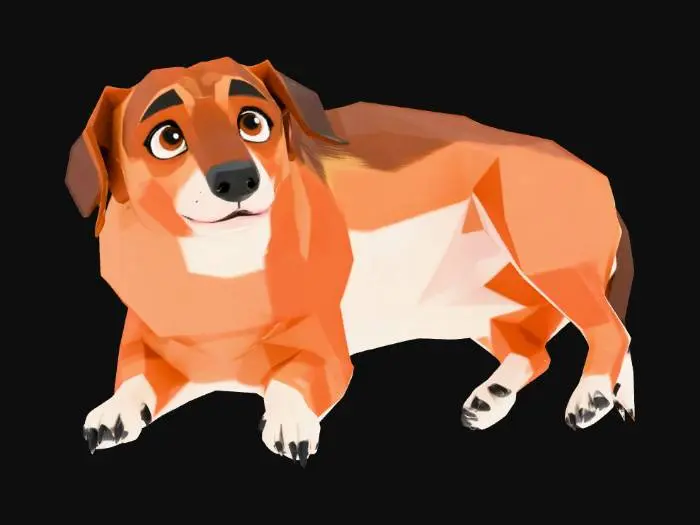 3D model for Canine Geometry