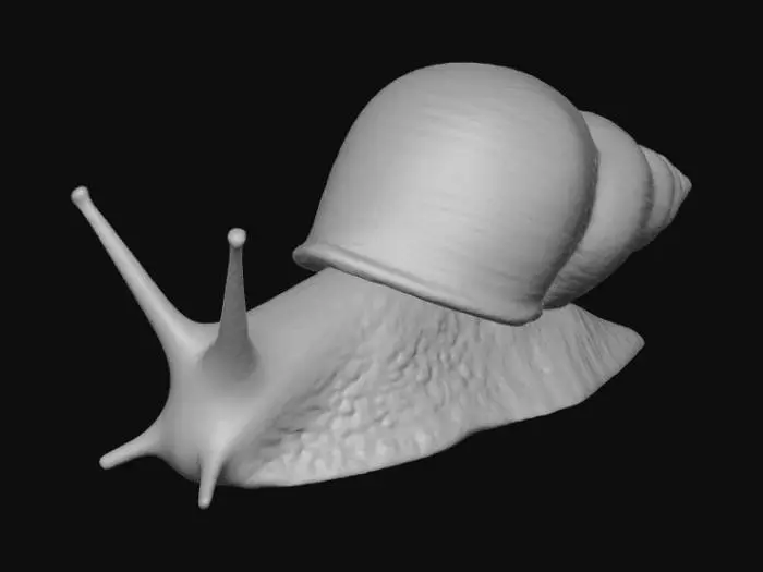 3D model for Snail's Journey, #villain#