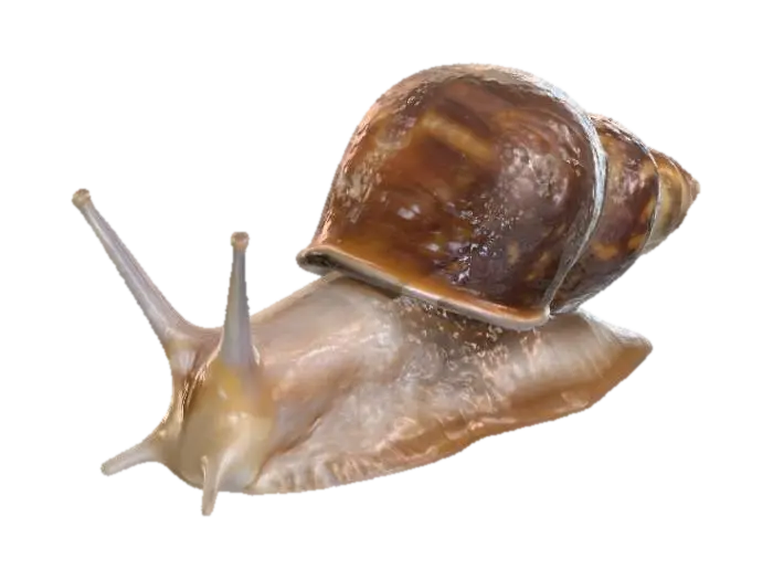 Snail's Journey, #villain# 3D model, vytvořený pomocí AI