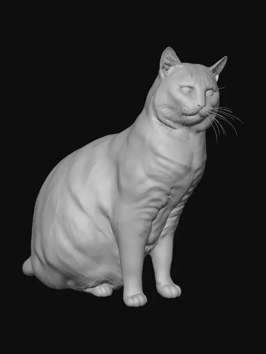 3D model for tortashell cat