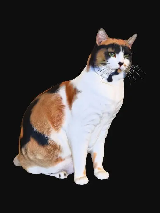 3D model for tortashell cat