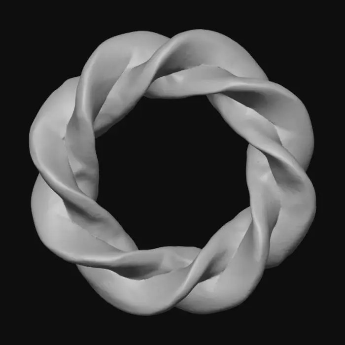 3D model for Twisted Torus Art