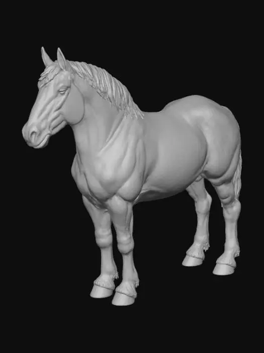 3D model for Noriker Stallion Portrait