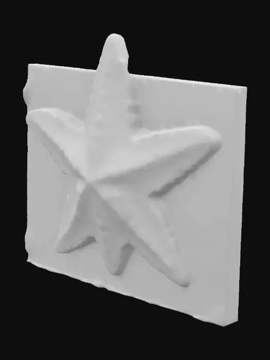 3D model for Full-body sea star carved as a wooden relief sculpture embedded in a rectangular wall. Detailed historical, intricate textures, rustic wood finish, realistic depth, and shadows.