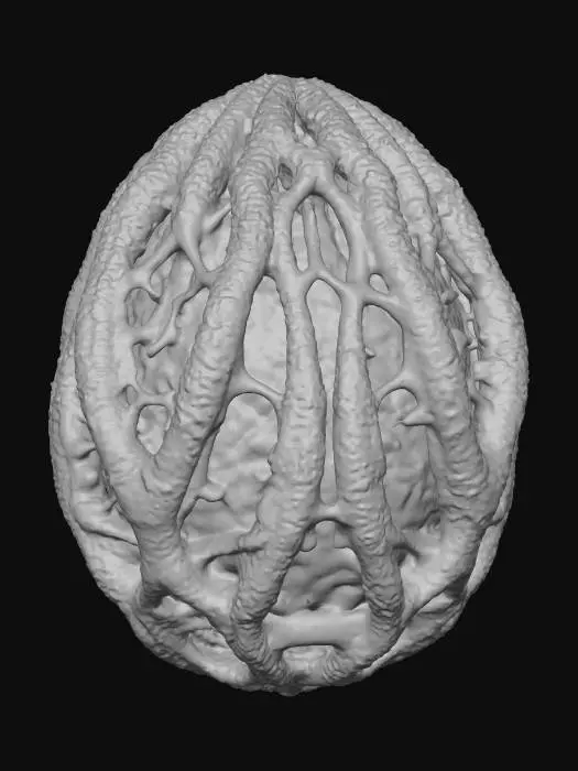 3D model for Eerie Glow egg in the Woods