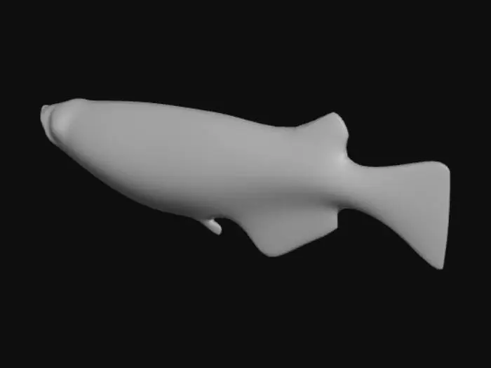 3D model for zebrafish