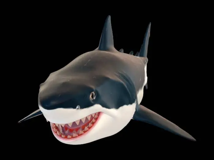3D model for realistic great white shark, mouth wide open, dark eyes, muscular body, gray blue skin,ultra detailed, photorealistic, high poly 3D model