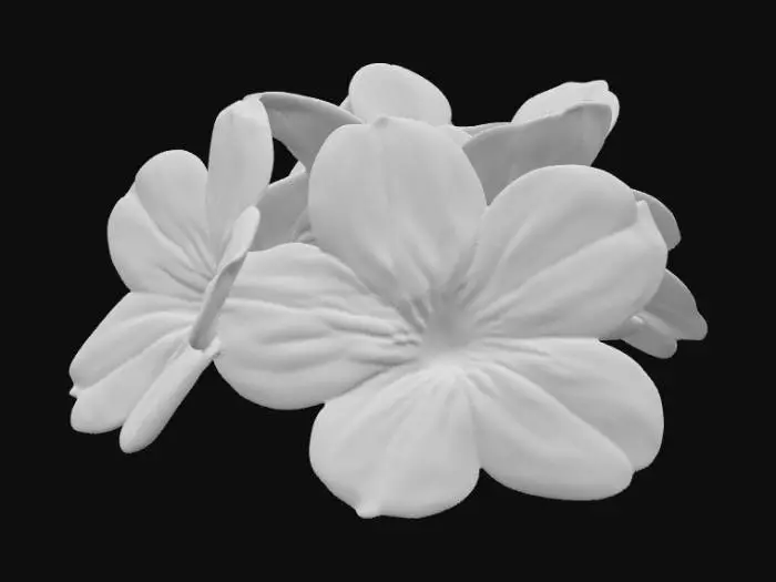 3D model for Pretty clump of forget-me-not flowers pink and blue on a pure white background 