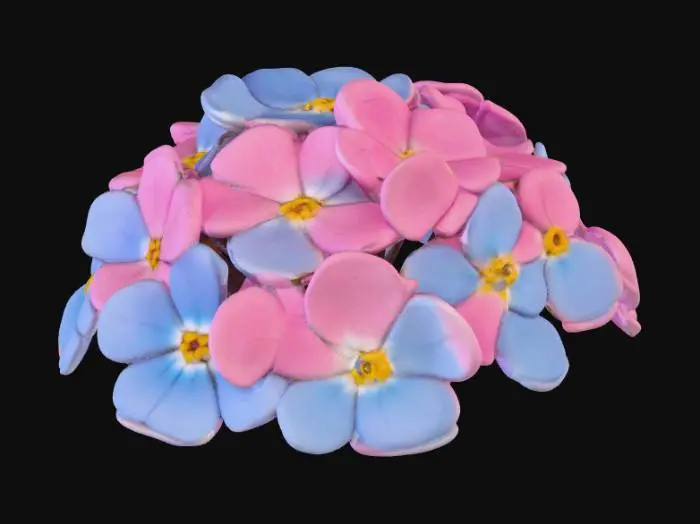 3D model for Pretty clump of forget-me-not flowers pink and blue on a pure white background 