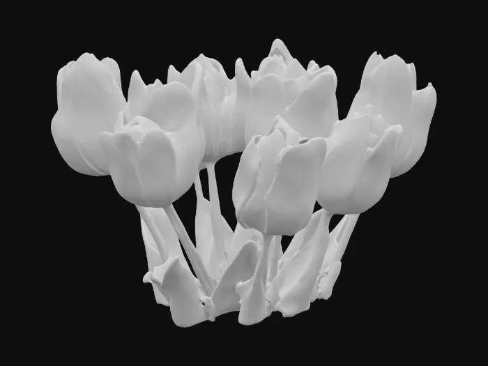 3D model for hyper realistic tulips in bright pink, orange, red centered on a pristine white background 