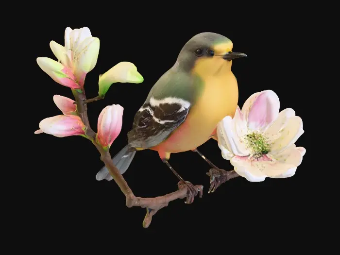 3D model for Hyper-realistic beautiful colorful song bird is chirping on a fully blossomed dogwood branch, high definition great detail to the feathers, the blossoms, and the variegated leaves of green #PBR#