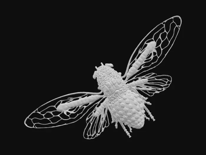 3D model for 1000053256.jpg