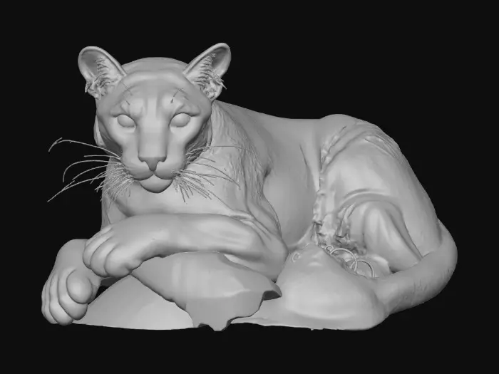 3D model for 1000055198.jpg