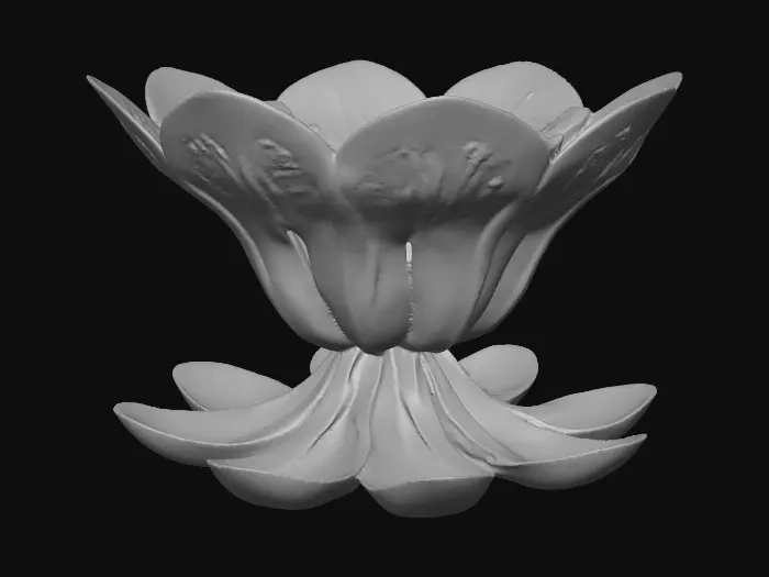 3D model for Short cupped flower petal shaped base, single layered, pretty delicate colors