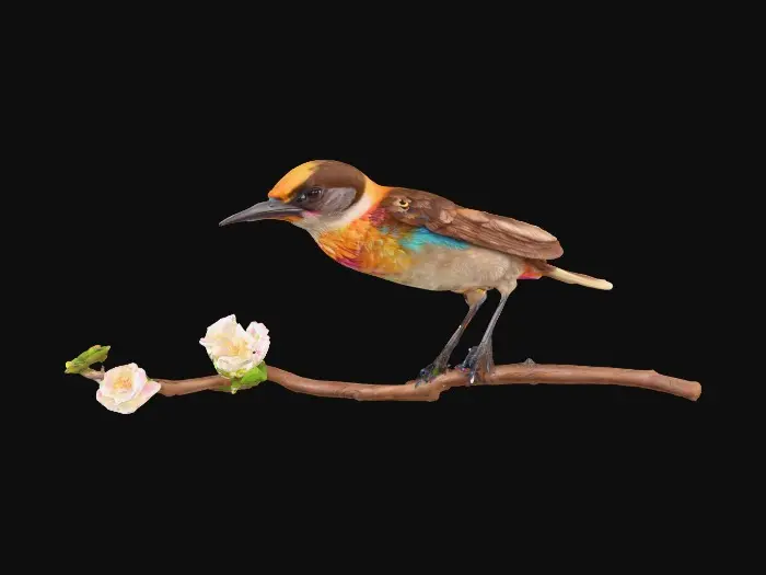 3D model for A precious baby bird with detailed feather texture is perched on a tree branch adorned with vibrant blossoms. An arching branch extends gracefully above the bird, creating a natural frame. Vibrant colors.