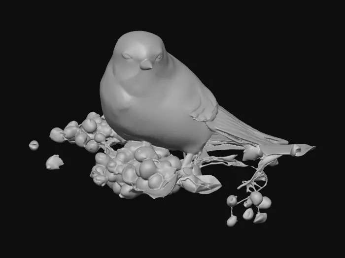 3D model for Berry Perch