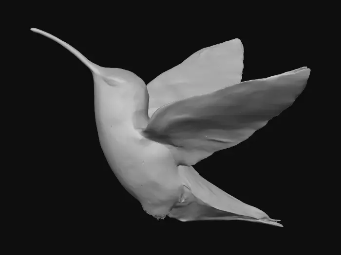 3D model for Hummingbird in Flight