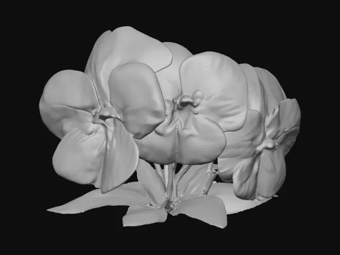 3D model for A trio of talking chibi flowers (pansies) alice in wonderland stylized cartoonish talking flowers in full color