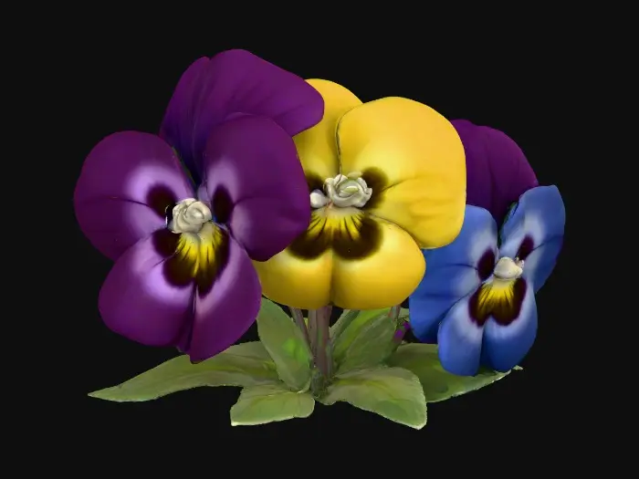 3D model for A trio of talking chibi flowers (pansies) alice in wonderland stylized cartoonish talking flowers in full color