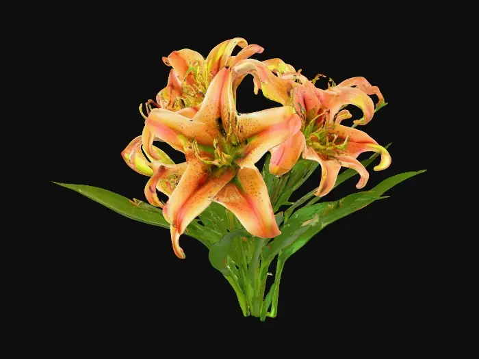 3D model for Bouquet of beautiful colorful tiger lilies suitable for 3d printing model