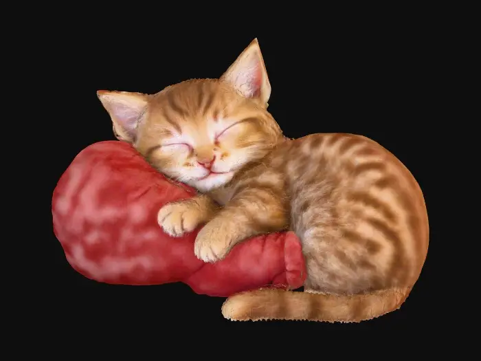 3D model for Cozy Cat Dreaming