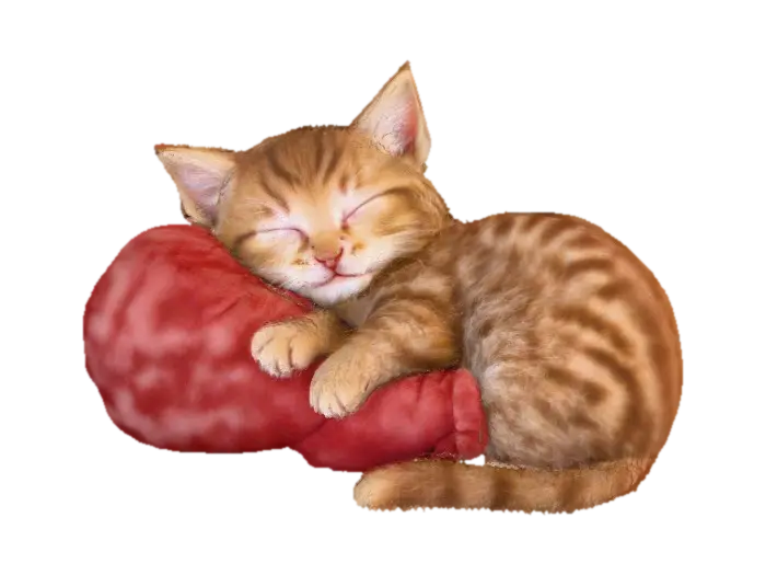 Cozy Cat Dreaming - Whiskers 3D model, vytvořený pomocí AI