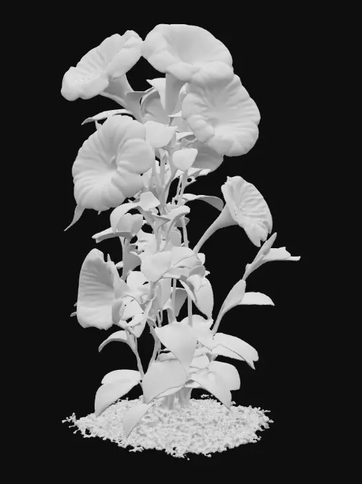 3D model for Thick vine of leafy morning glories flowers