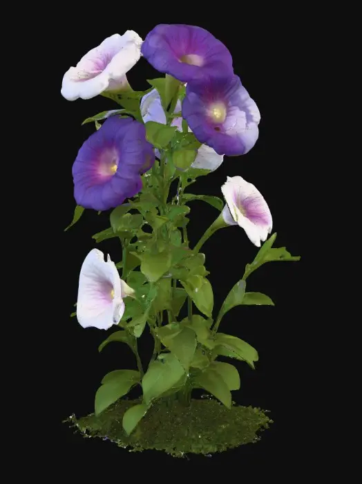 3D model for Thick vine of leafy morning glories flowers