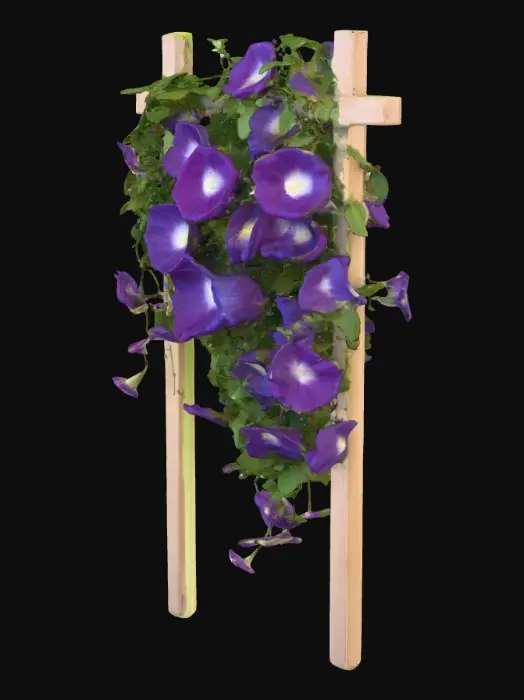 3D model for Thick vine of leafy morning glories flowers