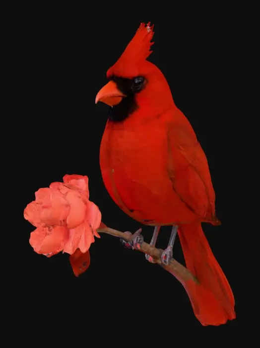 3D model for Cardinal sitting on a flowering branch of red flowers. High definition on the feathers