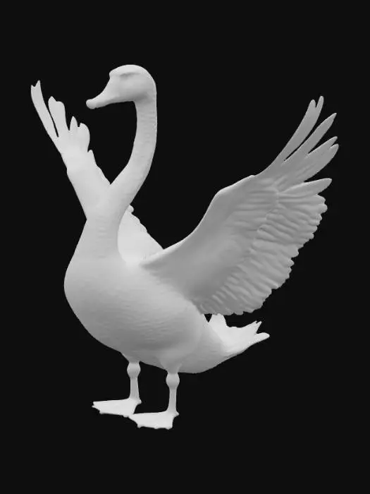 3D model for Beautiful muted Swan. Regal stance with wide open wings with large highly detailed feathers. Hyper-realistic , #PBR# 