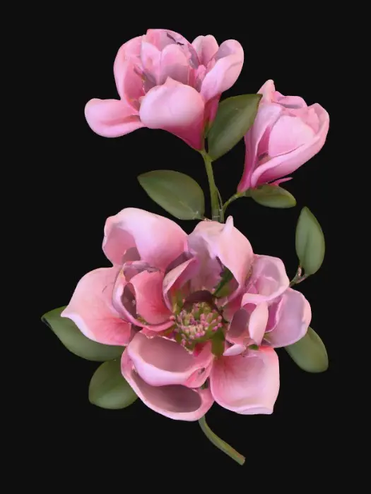 3D model for Magnolia Blossoms, #PBR#